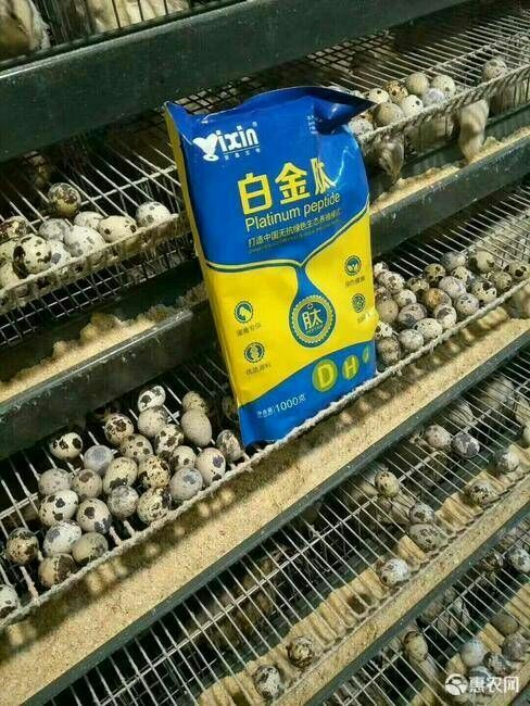 郑州混合型饲料添加剂 提高产蛋率，延长产蛋高峰