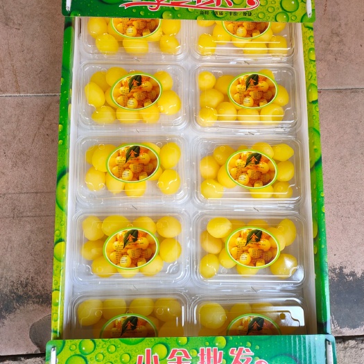 长沙黄金果果脯 黄金果，金西梅