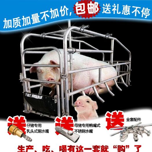 新乐市落地是母猪产床，定位栏限位栏简易产床单个诸位一个栏。