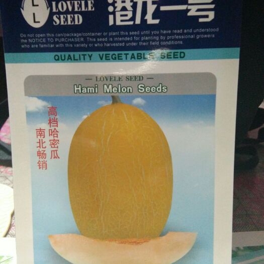富平县 哈密瓜种子