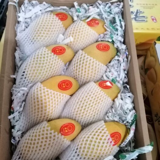 三亚水仙芒果 尽在其中