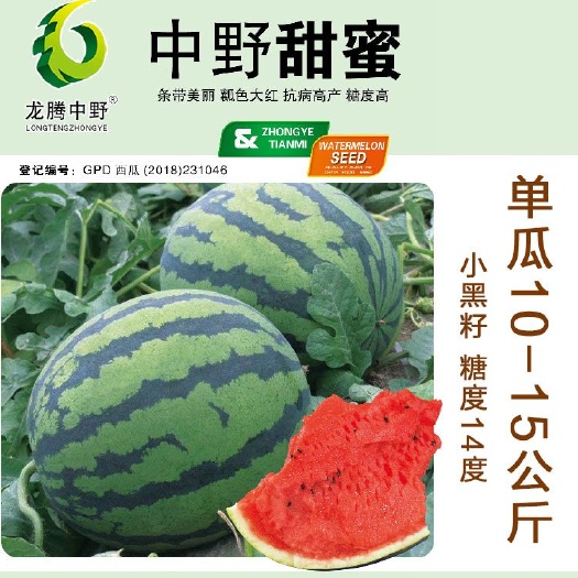 樟树市 新甜王西瓜种子中野甜王中野甜蜜早熟杂交新品种适宜春棚露地秋
