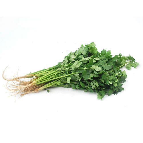  大叶香菜