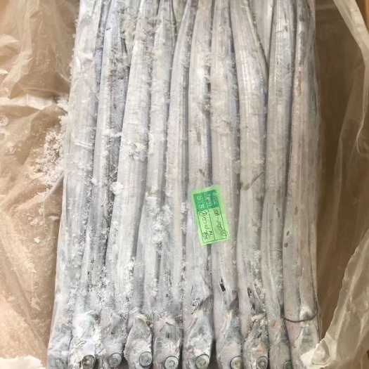  好货，带鱼有需要的联系