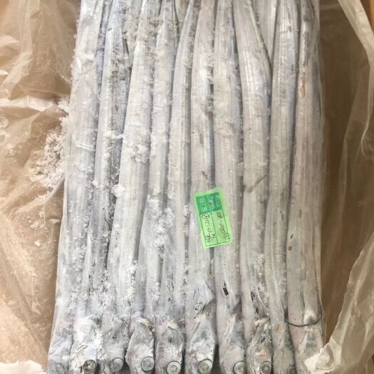 福州 好货，带鱼有需要的联系