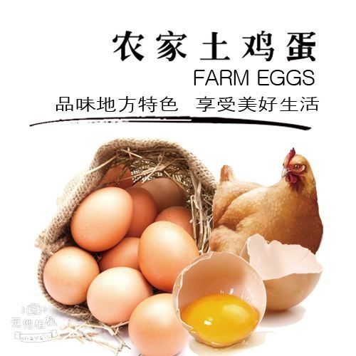焦作土鸡蛋  高品质，虫草农家蛋，，小孩吃健康，妈妈最放心。