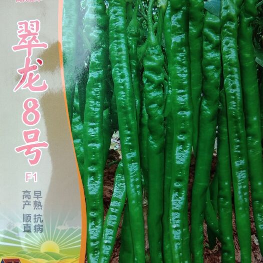 常德 陶氏德丰  1000粒翠龙8号 中早熟螺性长线椒种子