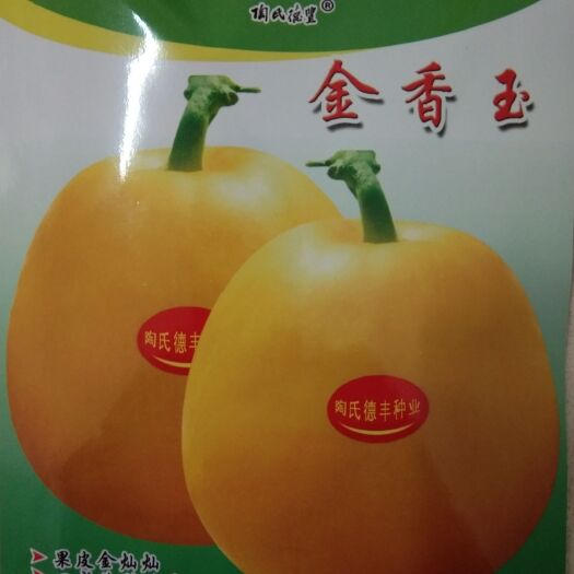 常德 陶氏德丰  10克金香玉黄皮甜瓜种子