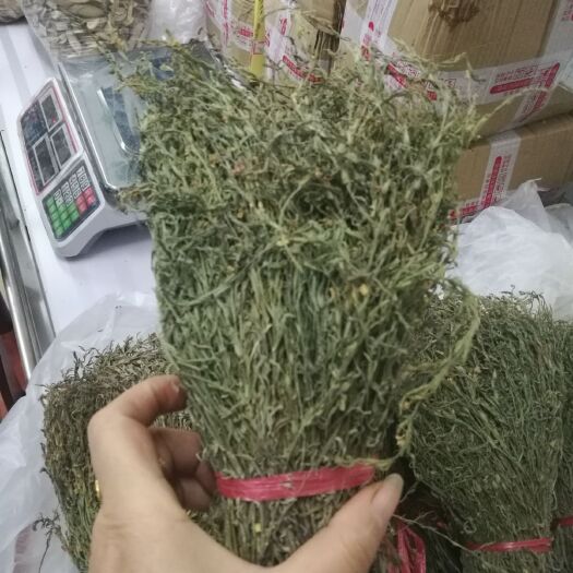 博罗县独脚柑 独脚金批发400一级货，好绿