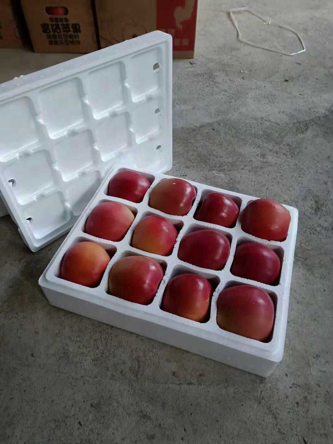 寒富苹果 泡沫箱发货有12格的18格的24格的运费加10元