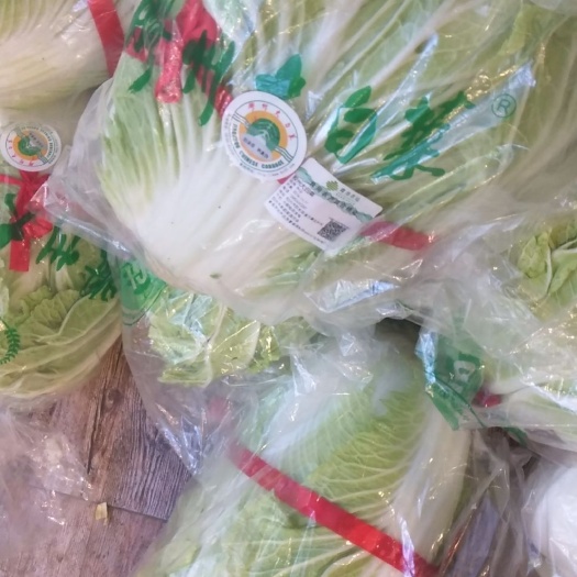 胶州大白菜青岛农业局认证