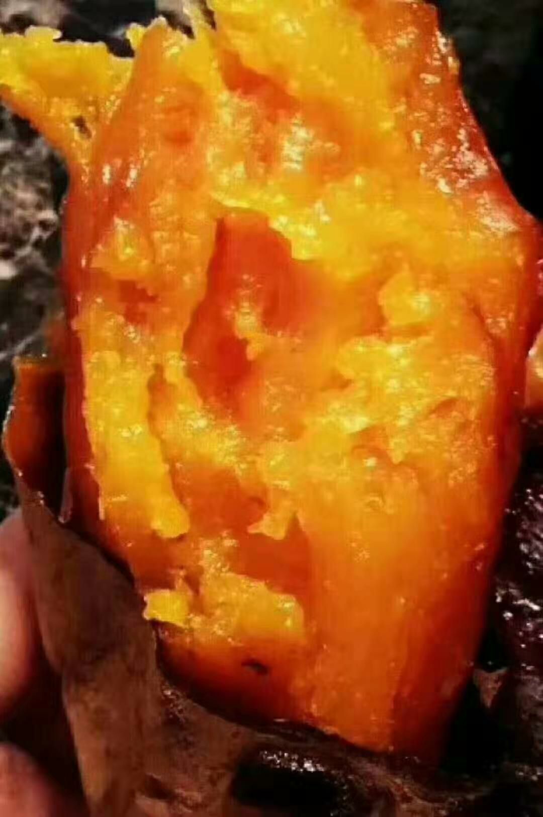  红薯，高原蜜薯。精品。