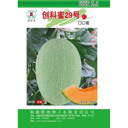 樟树市创科蜜甜瓜种子 新疆创科蜜29号哈密瓜种子网纹瓜果肉橙红特度