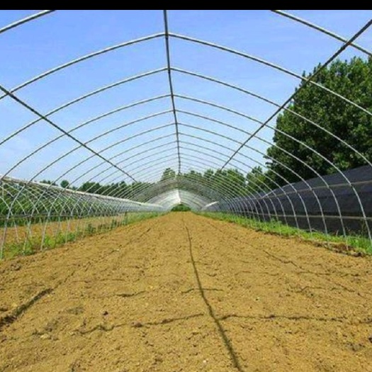天津蔬菜大棚 三纵四卡 成套大棚 种植大棚 厂家直销量大优惠