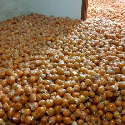 龙游县椪柑 菜籽饼施肥，个大，甜