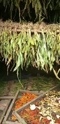 墨江哈尼族自治县见血清
