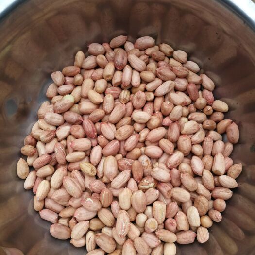莒南县油料花生米 花生米 干货
