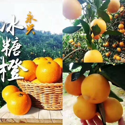 永兴县 水份足，特甜，正宗永兴冰糖橙！