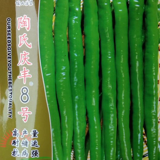 常德 陶氏德丰  1000粒庆丰8号早熟长线椒种子