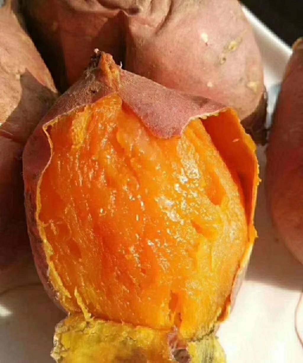  红薯，高原蜜薯。精品。