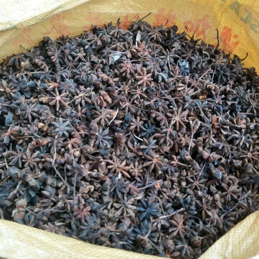 博罗县 无硫八角干批发