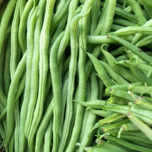 耿马县架豆王豆角 各种蔬菜已经上市，欢迎老板们来考察发货