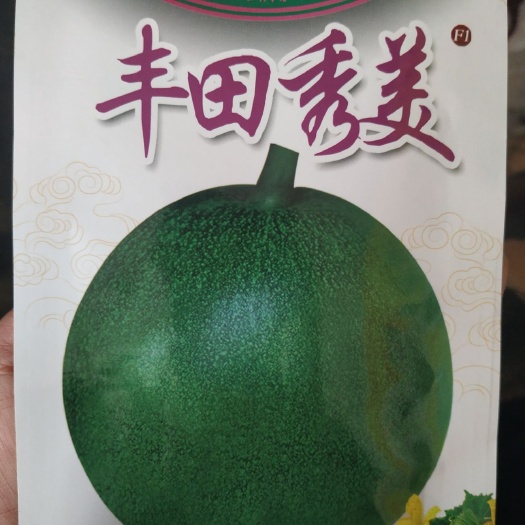商丘 新品甜瓜种子~丰田秀美