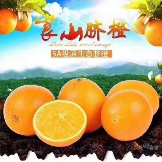 新宁县 崀山脐橙等您来！！！