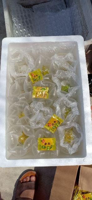 龙门县 杨桃