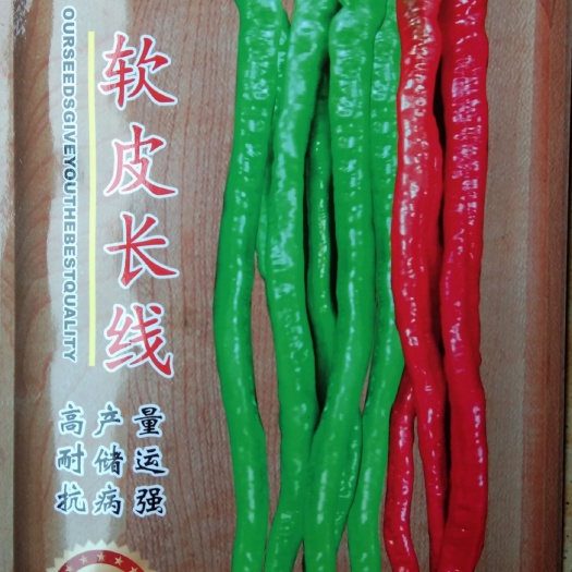 常德 陶氏德丰  1000粒中早熟软皮长线椒种子
