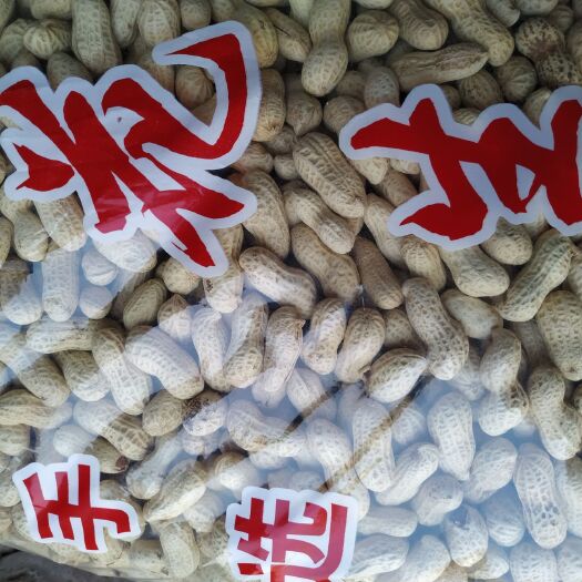 内黄县炒花生 备年货拉！好货不等人了！