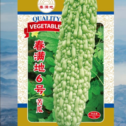 樟树市 【春满地6号】杂交苦瓜种子 珍珠苦瓜种子产量高抗病强中熟大田