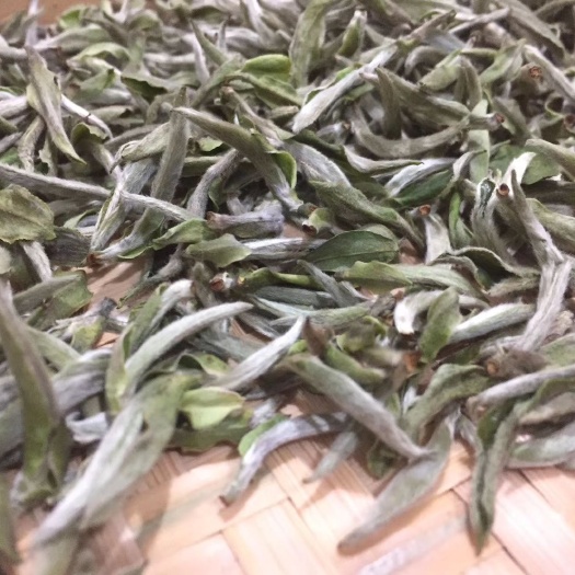 西安白毫茶 白毫福鼎白茶
