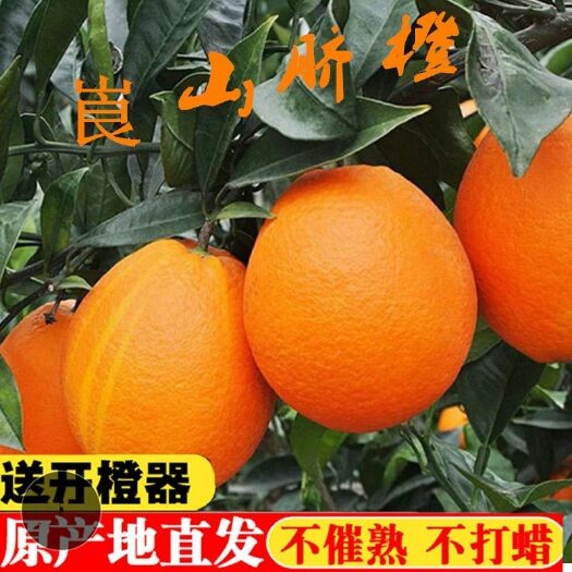 新宁县 湖南崀山脐橙新鲜当季甜水果孕妇橙子胜赣南脐橙送开橙器包邮
