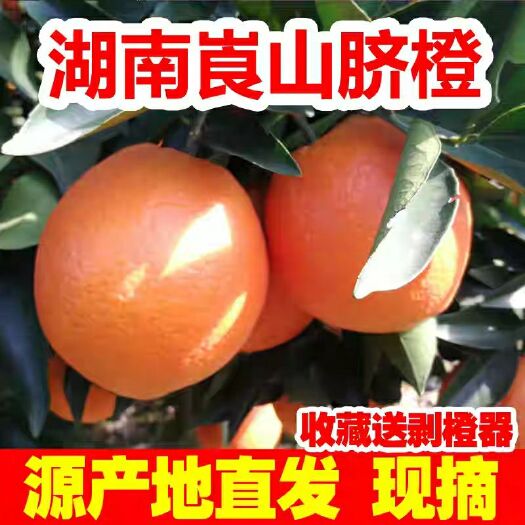 新宁县 湖南新宁崀山脐橙现摘现发皮薄肉多