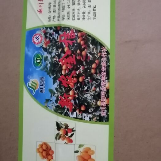 遂川县滑皮金桔 自家果园的果。有100多亩。
