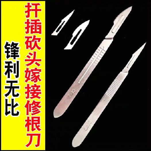 郑州嫁接剪/刀 多肉砍头刀 不锈钢月季嫁接扦插修根芽接刀 多肉工具 贴膜刀