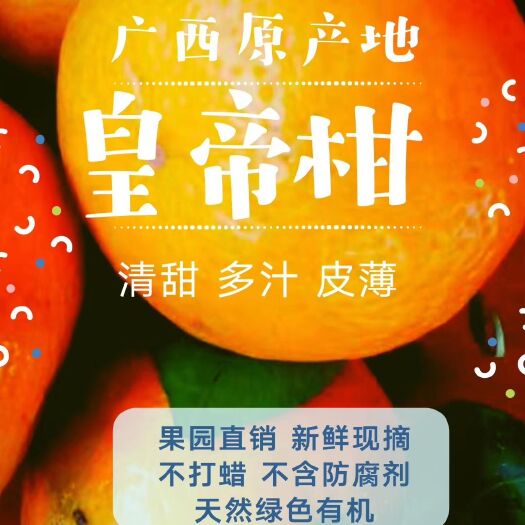 桂平市皇帝柑 果园直销，不打蜡，不含防腐剂，清甜多汁，皮薄肉厚。