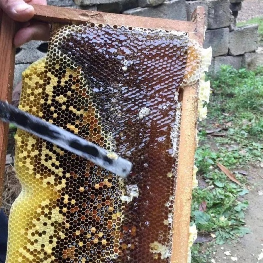 崇仁县 农家自产自销正宗土蜂蜜，假一赔十
