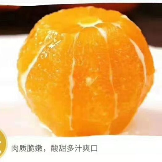 古蔺县 新鲜橙子