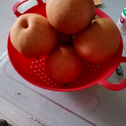 社旗县 冰糖红梨，绿色有机，质优价廉