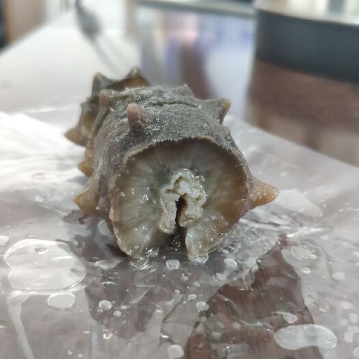 威海 即食海参