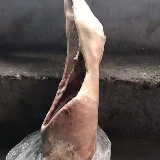 宿迁 冷冻羊肉，羊腿，羊排，羊酮体批发零售