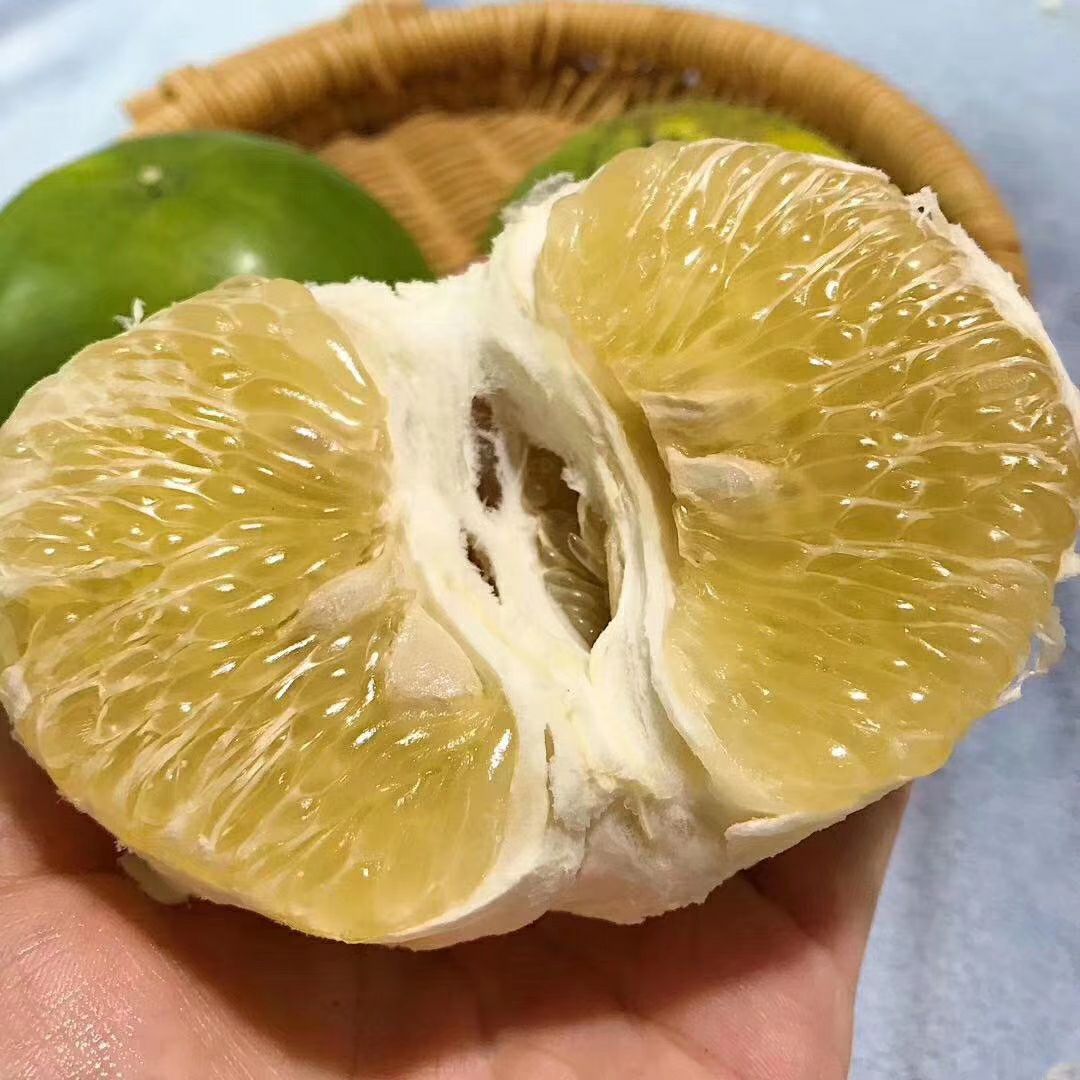 葡萄柚
