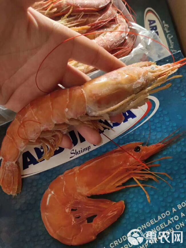 阿根廷红虾 新鲜生冻虾 质优价廉 当天发货
欢迎询价