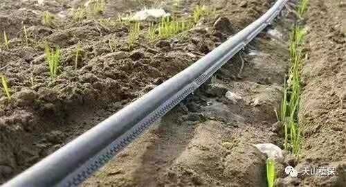 菏泽迷宫式滴灌带 迷宫边缝式滴灌带