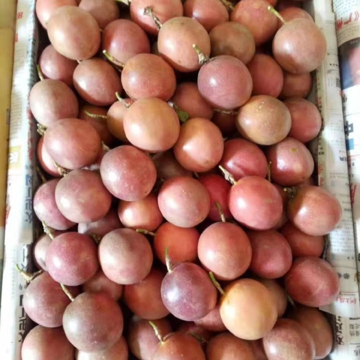 信宜市紫色百香果 果汁香味浓，甜度高，加入碳酸和糖，可制成芳香可口的饮料。