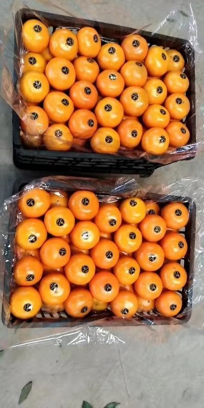 眉山 眉山寿柑（巴西柑）大量上市，有需要联系