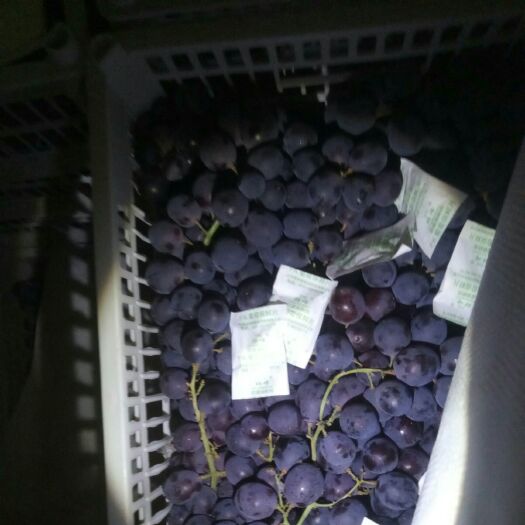 乌鲁木齐 豆腐价格的玫瑰香葡萄！！！