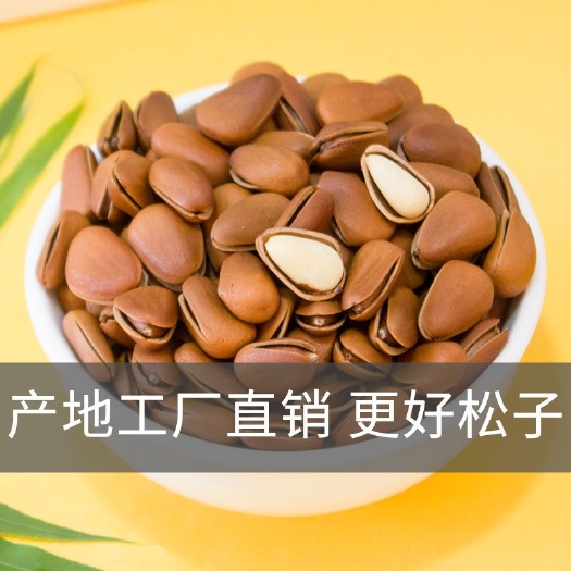 东北松子 12-18个月 散装